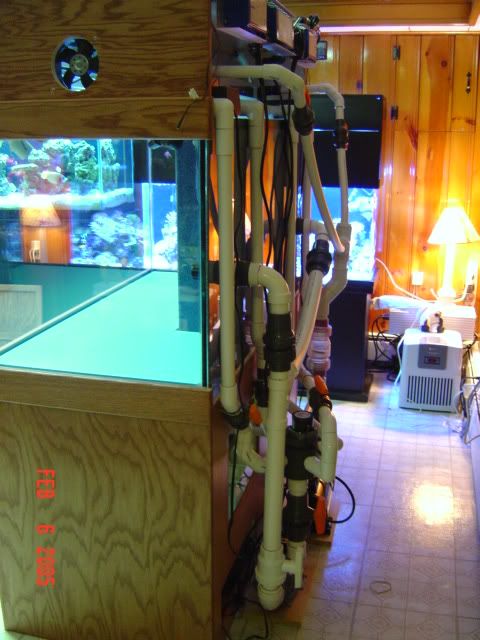 DSC00748.jpg