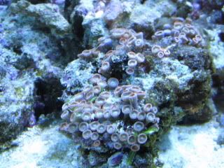 IMG_1028.jpg
