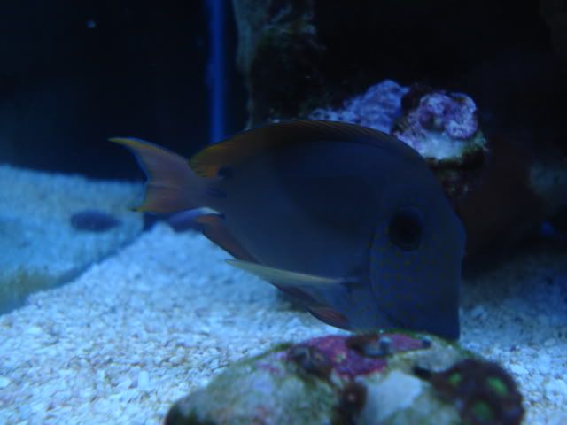 DSC03906.jpg