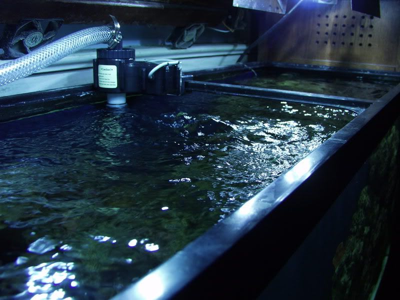 FEB82008012.jpg