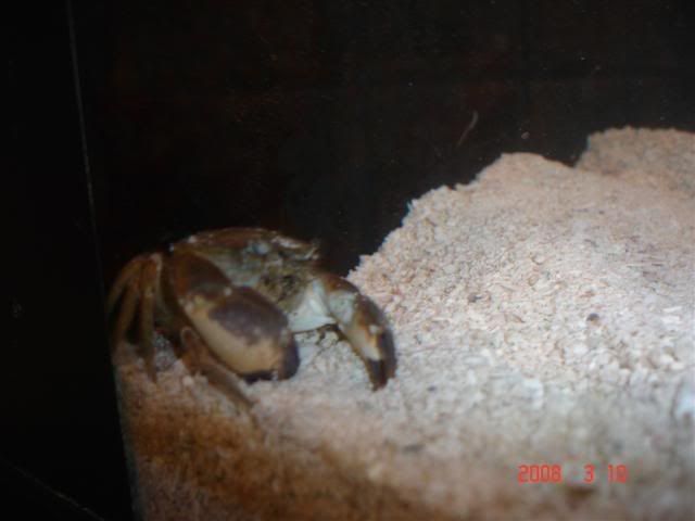 DSC01626Small.jpg