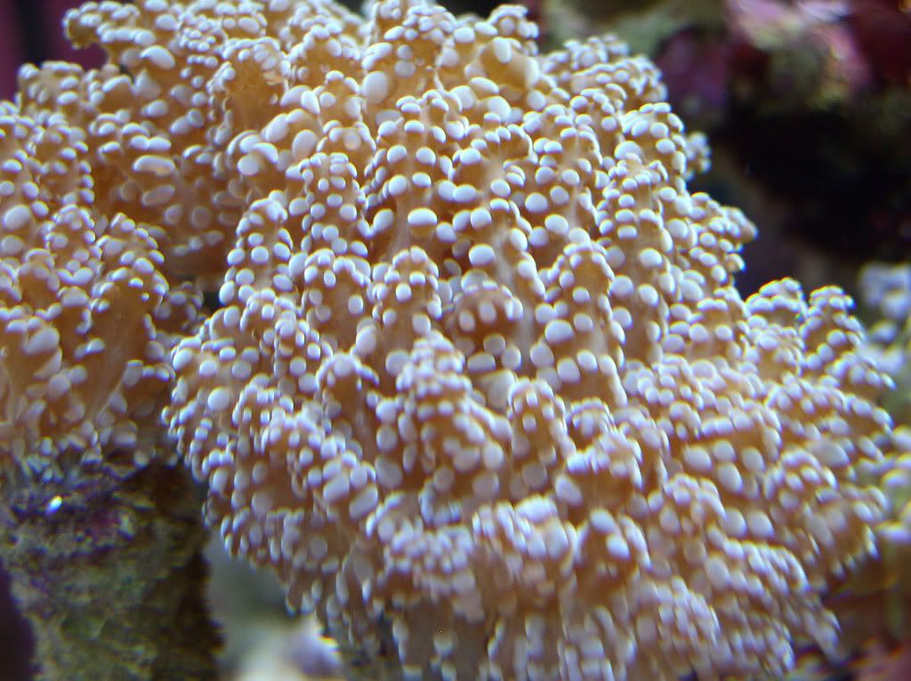 20110130_0772.jpg