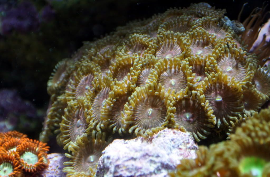 DSC_0321.jpg