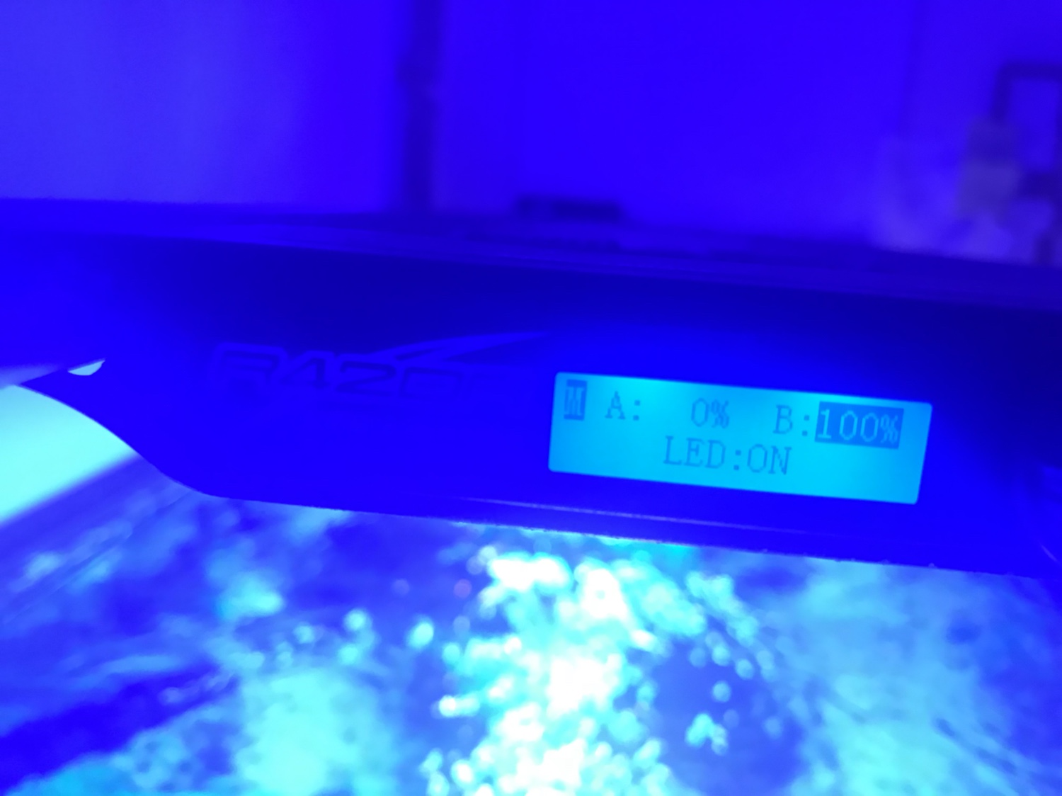b01f3ae621e13429b85d61aa42ea3db8.jpg