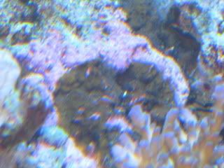 IMG_0852.jpg