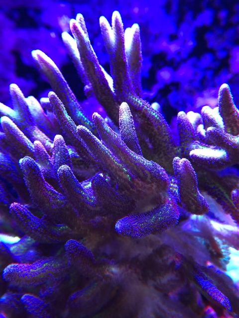 02b89ff476a722d6c4e5e8c130f88551.jpg