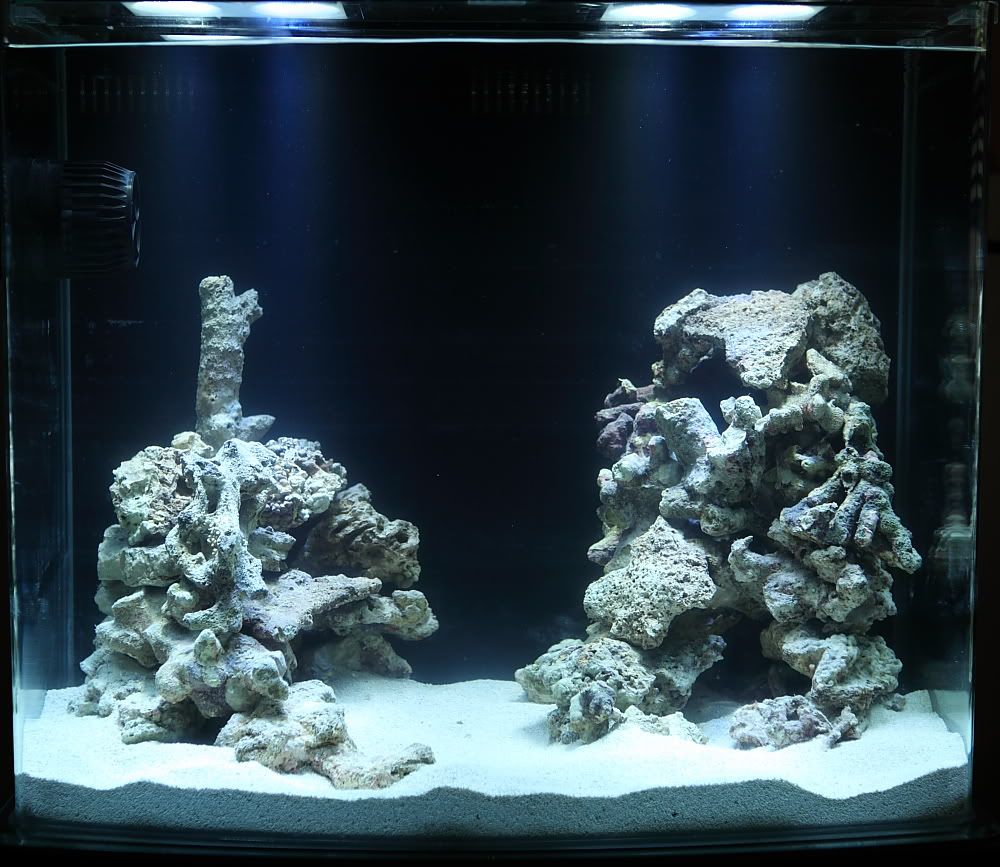 cadlight0002.jpg