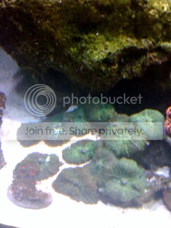 photo-2.jpg