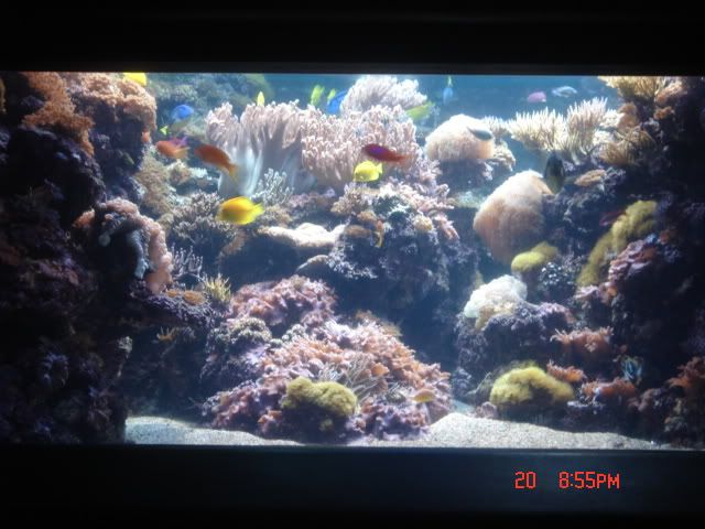 DSC01419.jpg