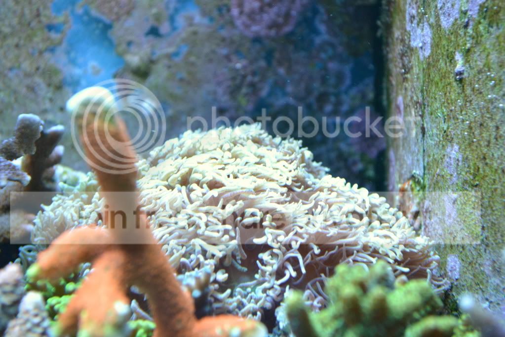 nanoforsale054.jpg