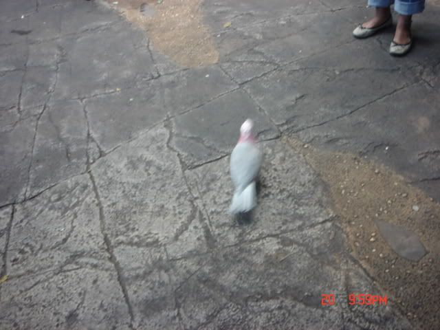DSC01495.jpg