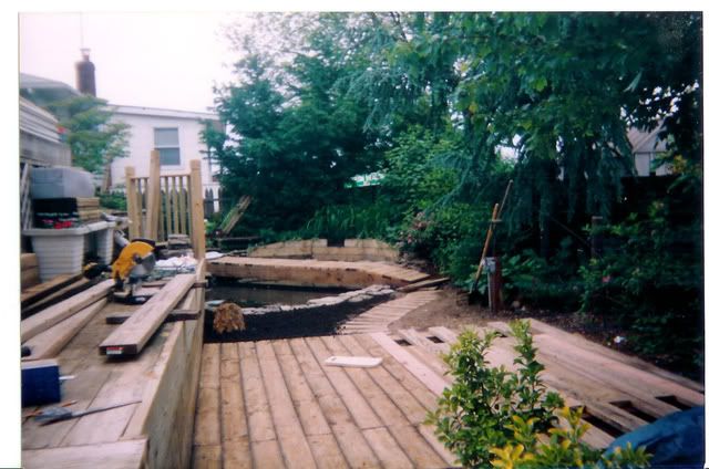 Pond006.jpg