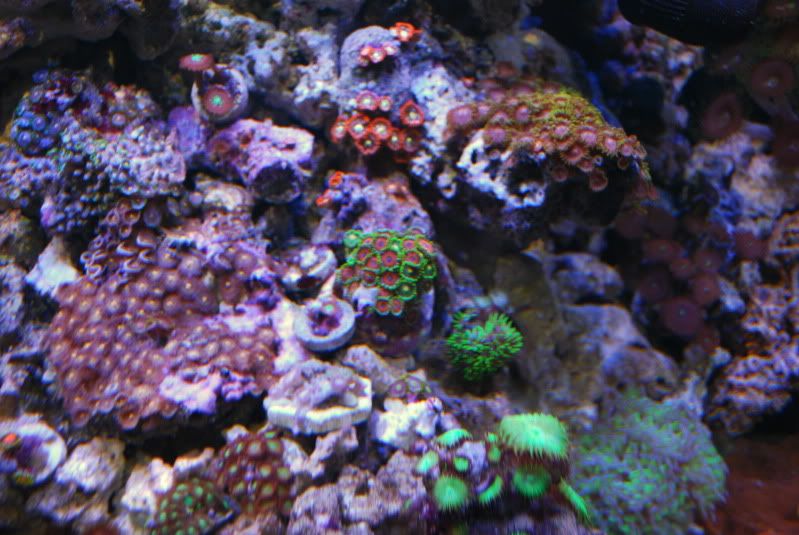 DSC_2204.jpg