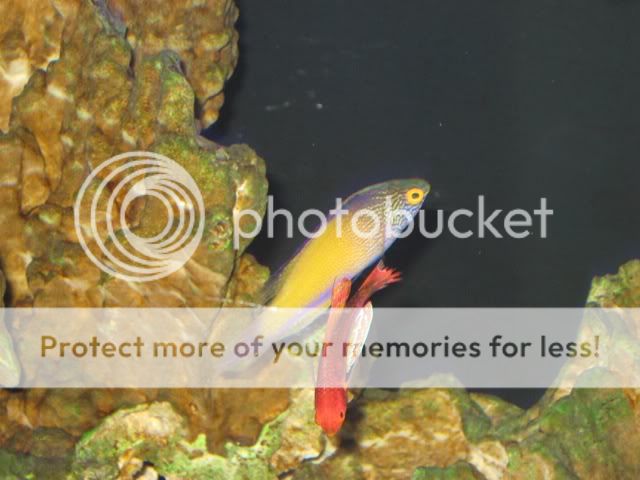 0IMG_5723.jpg