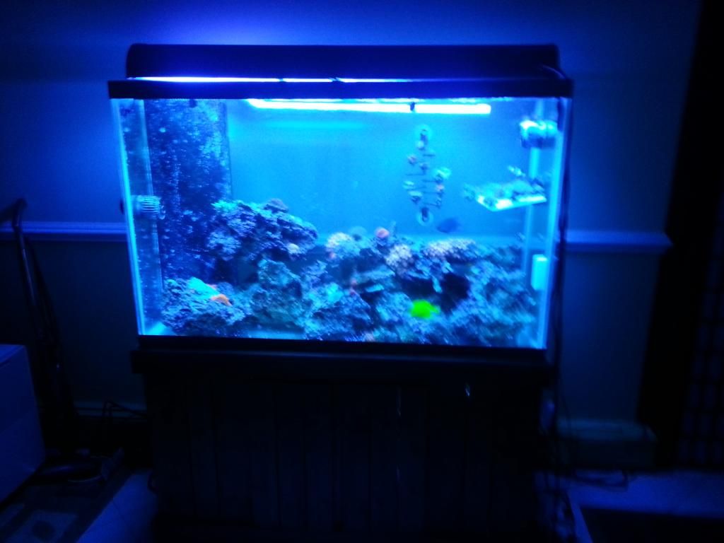 20121128_214256.jpg