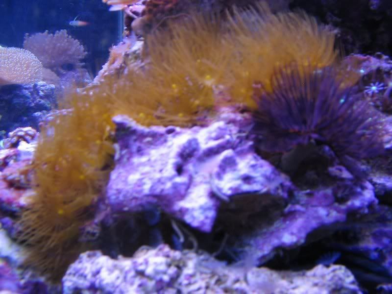 2-23-07February162.jpg