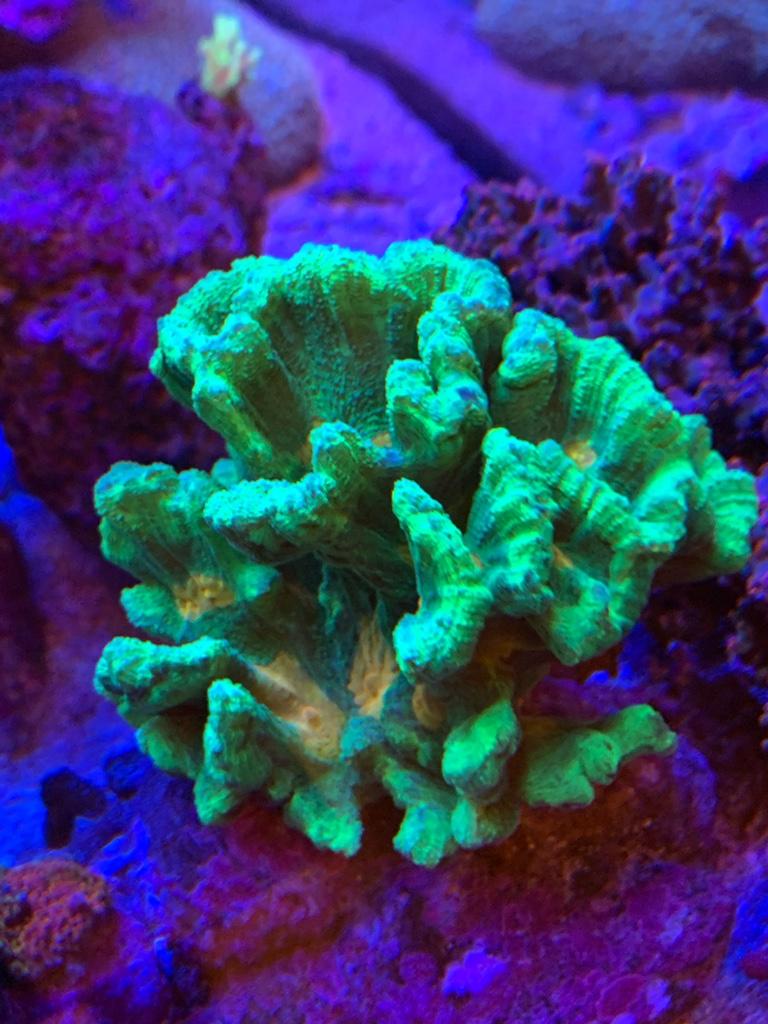 8f581c51b8ed60b63e97aa544b75ad46.jpg