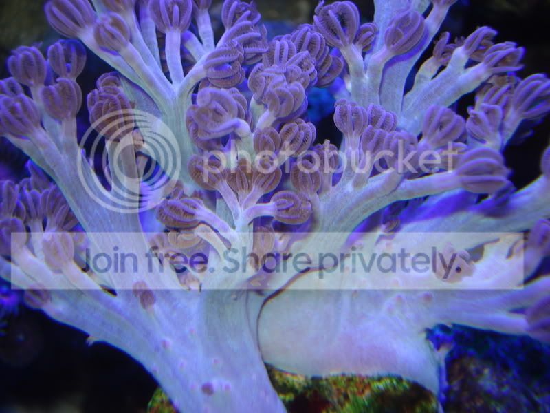 fish2-09013.jpg