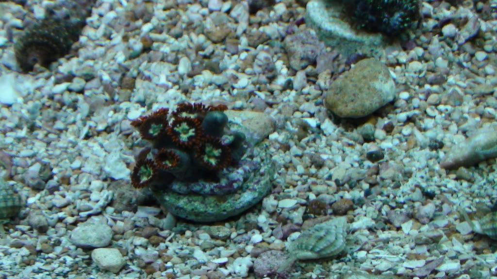 DSC00397.jpg