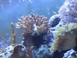 IMG_1025.jpg