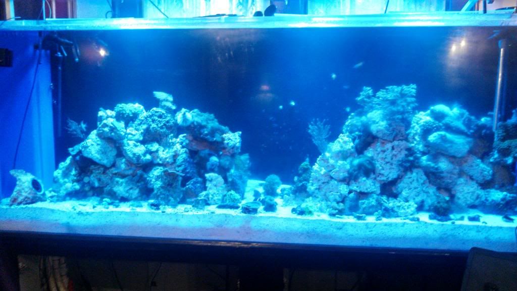 IMG_20131222_104346_668.jpg