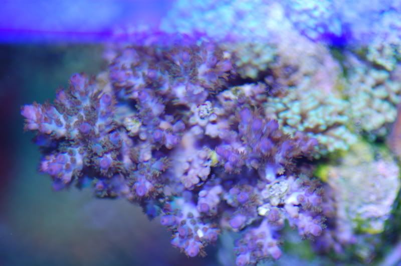 fishstuff10211.jpg