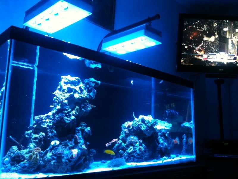 FTS.jpg
