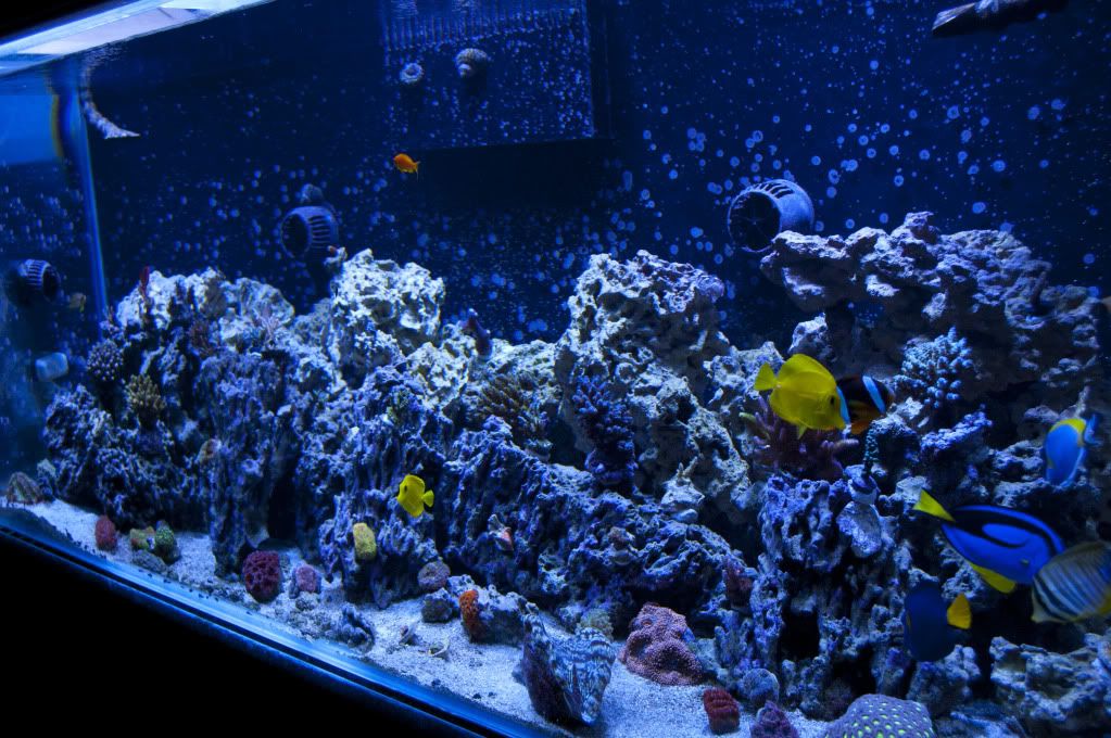 DSC_0052.jpg