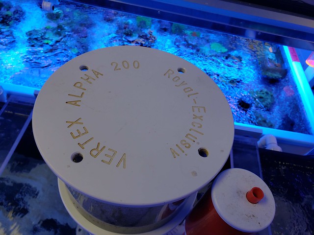 48560697767_82d0d46055_z.jpg