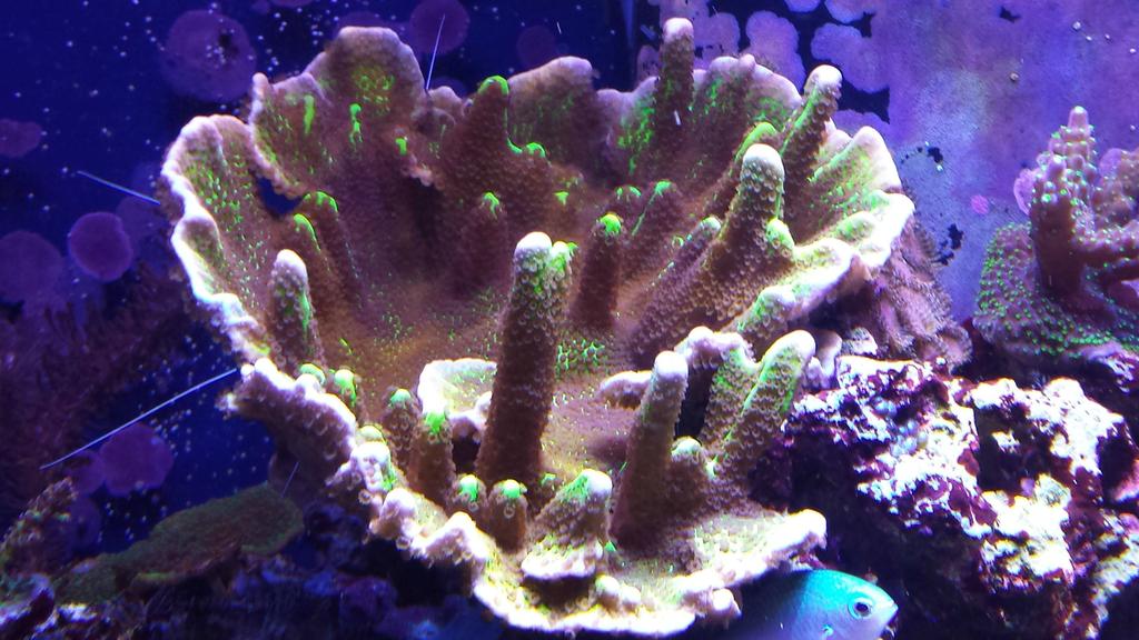 EGID7x9.jpg