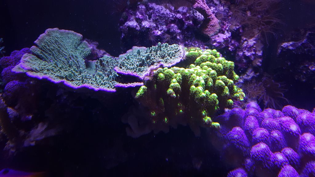 20150601_164238.jpg