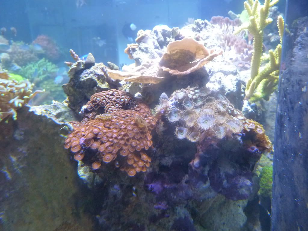 P1070435.jpg