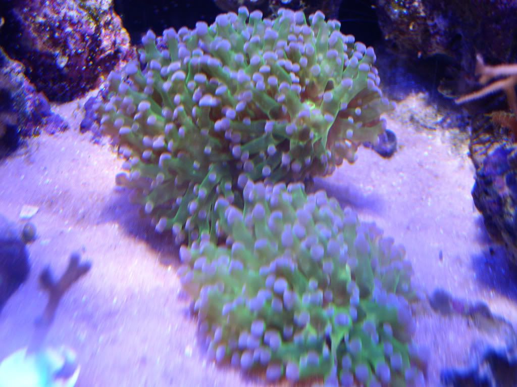 20110130_0795.jpg