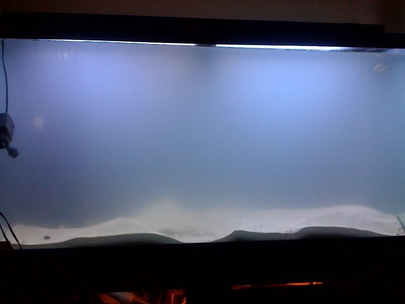 photo-1.jpg