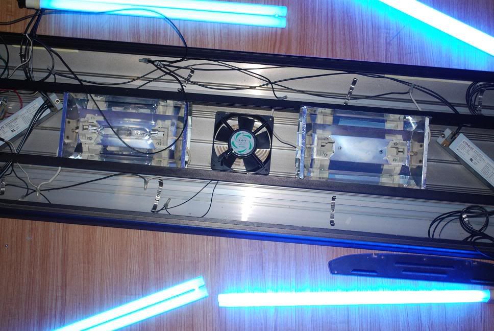 LightPic3.jpg