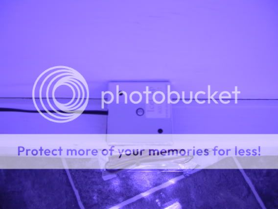 DSCN1377.jpg