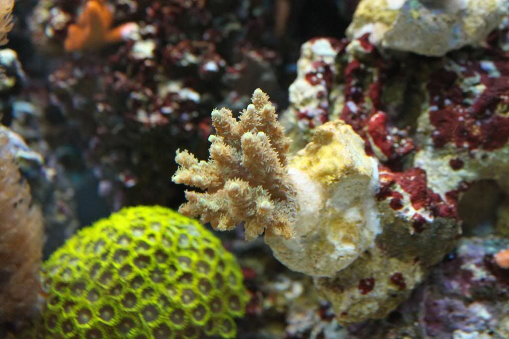 IMG_5835_zps5fe156d6.jpg