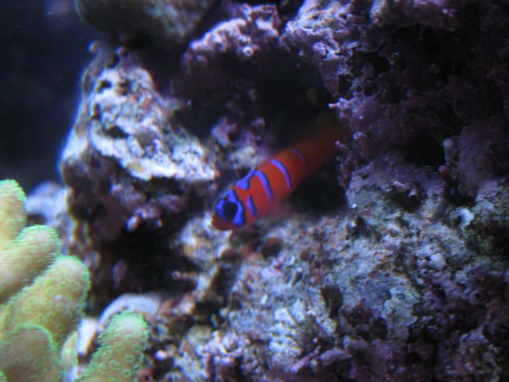 IMG_1060.jpg