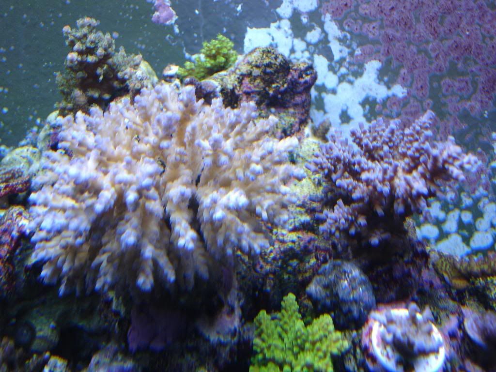DSC03902.jpg