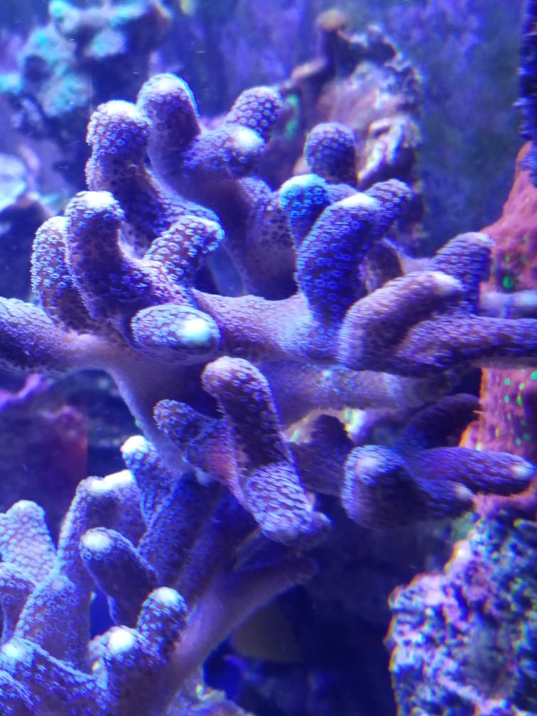 0bcaaefcade618b1aceb51cf561e0e83.jpg