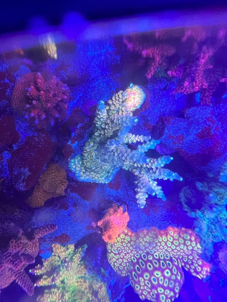 7ca61dc7b4298c29d23e53e2214bd246.jpg