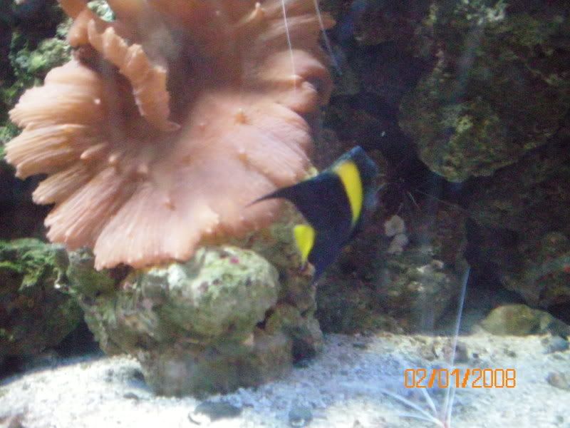 100_0113.jpg