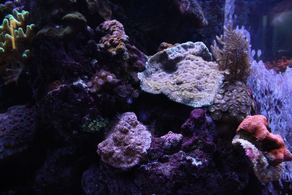 IMG_7869.jpg