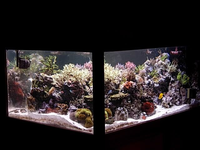 DSCN0209-1.jpg