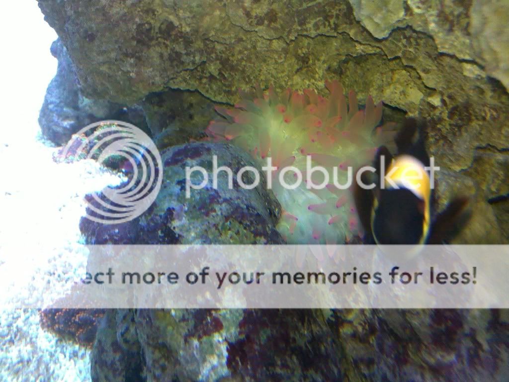 28112009114.jpg