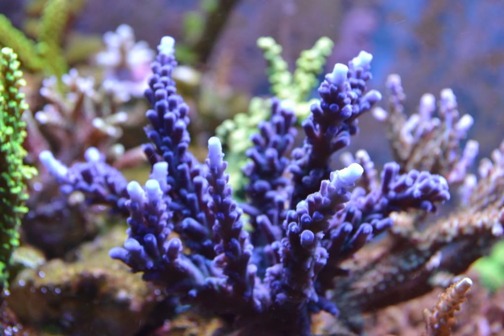 DSC_0016.jpg