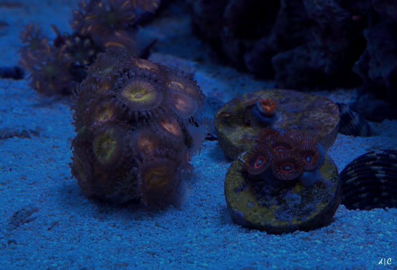 DSC_1578.jpg