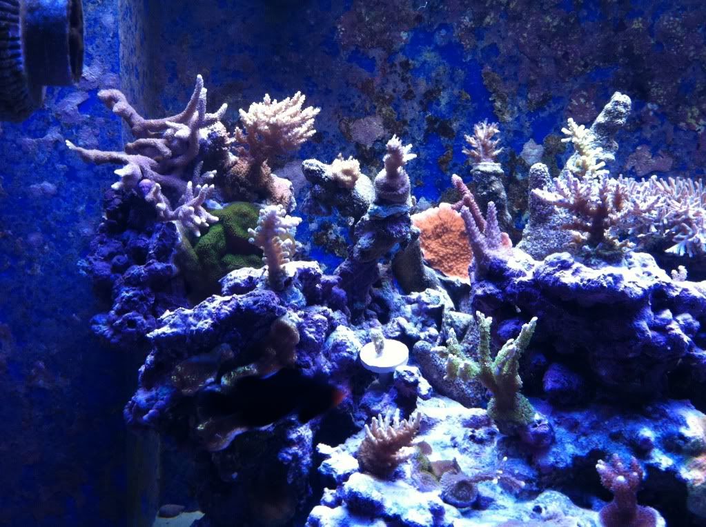 frags2-25-12020.jpg