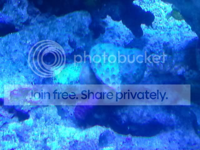 CAM01237.jpg