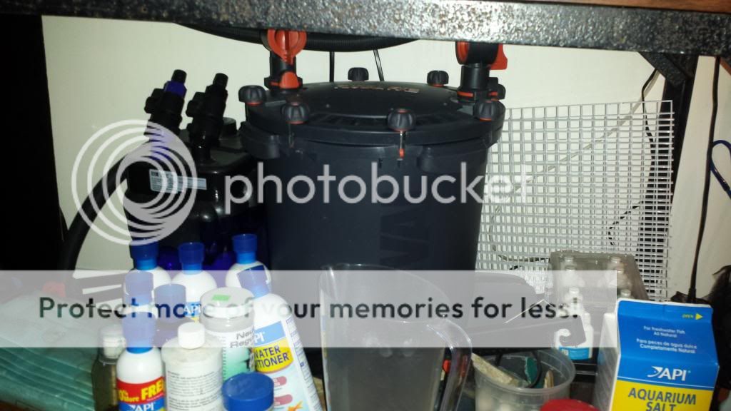 20130911_141548_zpse2f287d2.jpg